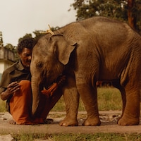 A study of human and animal habitats