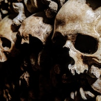 yann-schaub-OKvJ_ALYO0U-unsplash