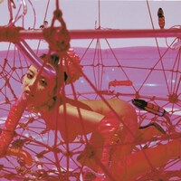 Shu Lea Cheang: Scifi New Queer Cinema 1994-2023