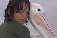Storm Boy
