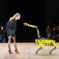 2. Boston Dynamics release the hounds