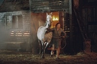 1 - HARVEST (C) Jaclyn Martinez_Harvest Film Limit