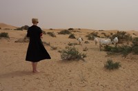 Tilda Swinton in Dubai by Amanda Harlech (3) 1