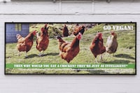 &quot;If you wouldn&#39;t eat your dog...&quot;, 2010