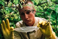 Cruising Archaeology II: Eurotrash