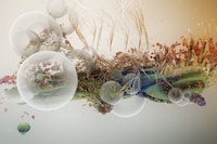 Bjork Illustrations Digital Art