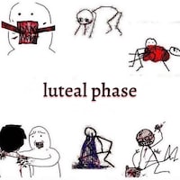 luteal phase ugly distressed crying meme