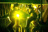 Bj&#246;rk’s Cornucopia at The Shed, New York City 17
