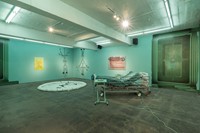 Memeplex at Seventeen Gallery4 4