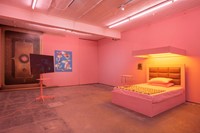 Memeplex at Seventeen Gallery11 11