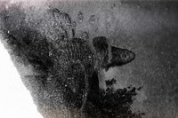 Raajadharshini Kalaivanan 6