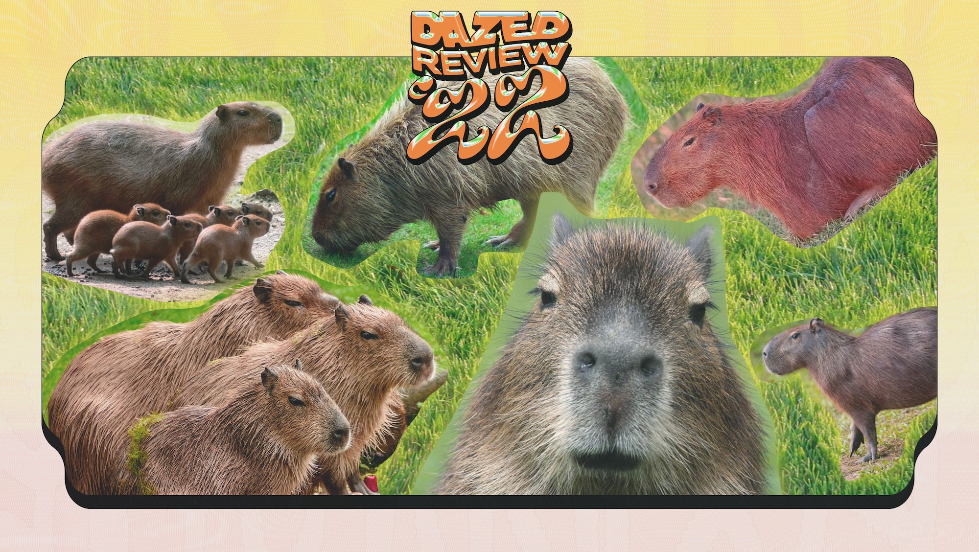 2022 was the year of the capybara