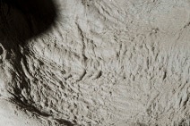 IMAGES ARE COURTESY OF DOUGLAS WHITE &amp; PARADISE RO