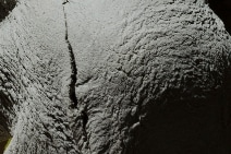 IMAGES ARE COURTESY OF DOUGLAS WHITE &amp; PARADISE RO