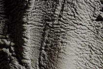 IMAGES ARE COURTESY OF DOUGLAS WHITE &amp; PARADISE RO