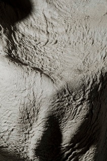 IMAGES ARE COURTESY OF DOUGLAS WHITE &amp; PARADISE RO 3