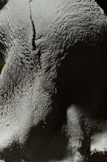 IMAGES ARE COURTESY OF DOUGLAS WHITE &amp; PARADISE RO