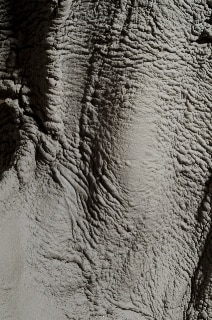 IMAGES ARE COURTESY OF DOUGLAS WHITE &amp; PARADISE RO 1