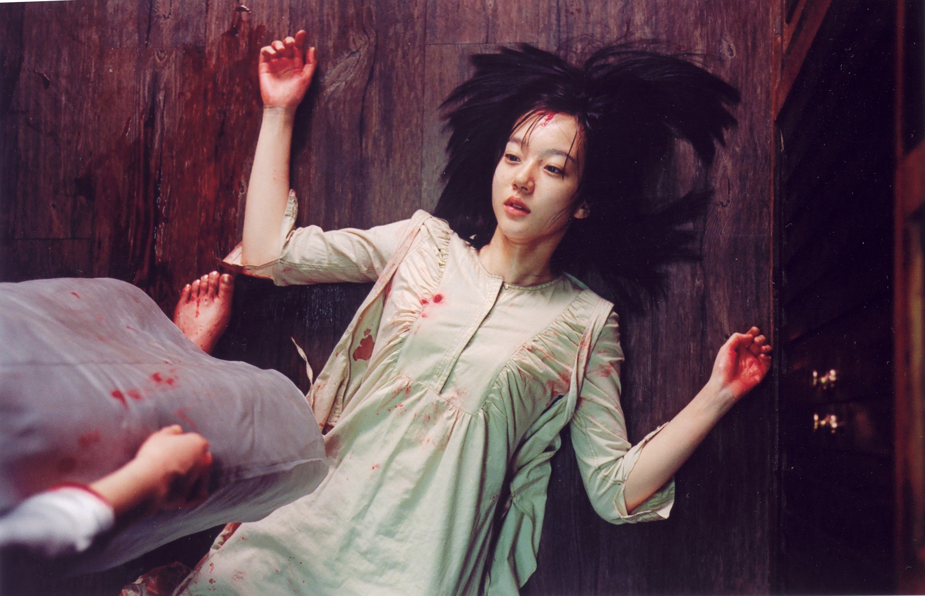 A Tale of Two Sisters: South Korea's touchstone psychological horror film |  Dazed