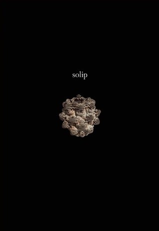 Solip by Ken Baumann