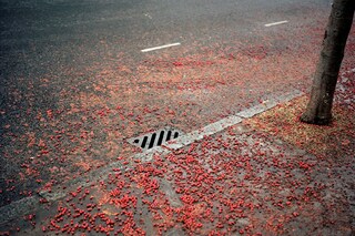 Hackney_02