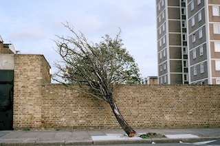 Hackney_04