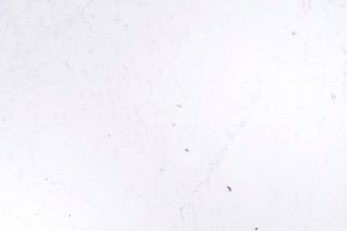 Beauty advice from the Berlin Porn Film Festival