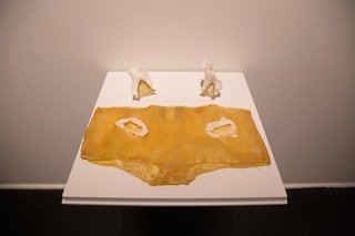 Chun-Shan (Sandie) Yi: Re-Fuse Skin Set, 2011