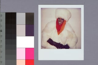 Andy Warhol, Grace Jones (6/1984)