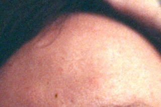 06.