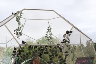 Georgia Janes, “Garden of Elowan”, Open Space (2022)