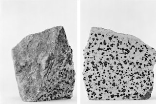 Katarina Elv&#233;n, Jasper Dalmatiner, Removes Disillu