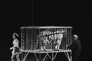 Craigie Horsfield, Circus, Placa de Torros la Monu