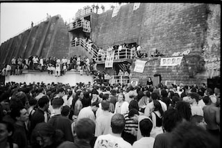 Pigs&#39;Disco.Pics.3