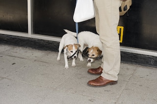 Alec Soth