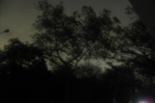 Dark Park, shot by edenpictures