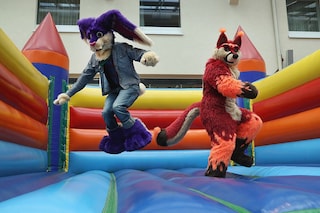 Furries