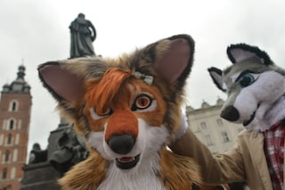 Furries