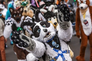 Furries