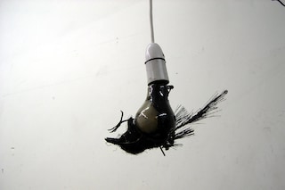 Flight 2010. Copyrite Tim Lewis