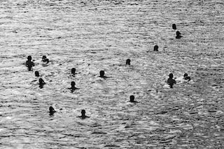 Marie Quéau, Gojira, 2010