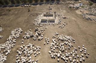 (c) ADAGP, 2011 Courtesy: Michal Rovner