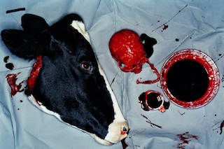 Jesus Falls the First Time by David Bailey &amp; Damie