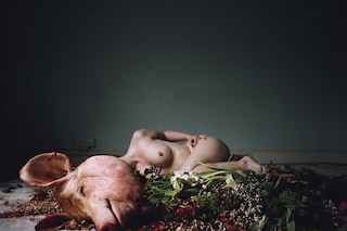 Sophia Schorr-kon Delphines Call, 2010