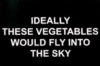 Laure Prouvost, Ideally these vegetables would fly