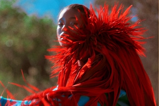 LC_240730_DAZED_WILLOW0102 1_V1_HR