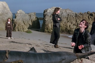 The Craft