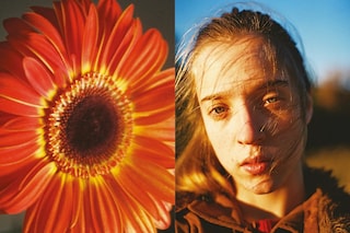 Alba Yruela’s Diaris 2009-2019 (2021)