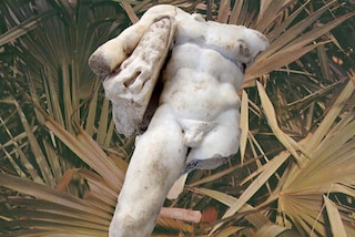  Live Wild CHARLOTTE FOS _LatinStudies6