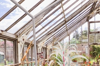 Georgia Janes, “Garden of Elowan”, Open Space (2022)